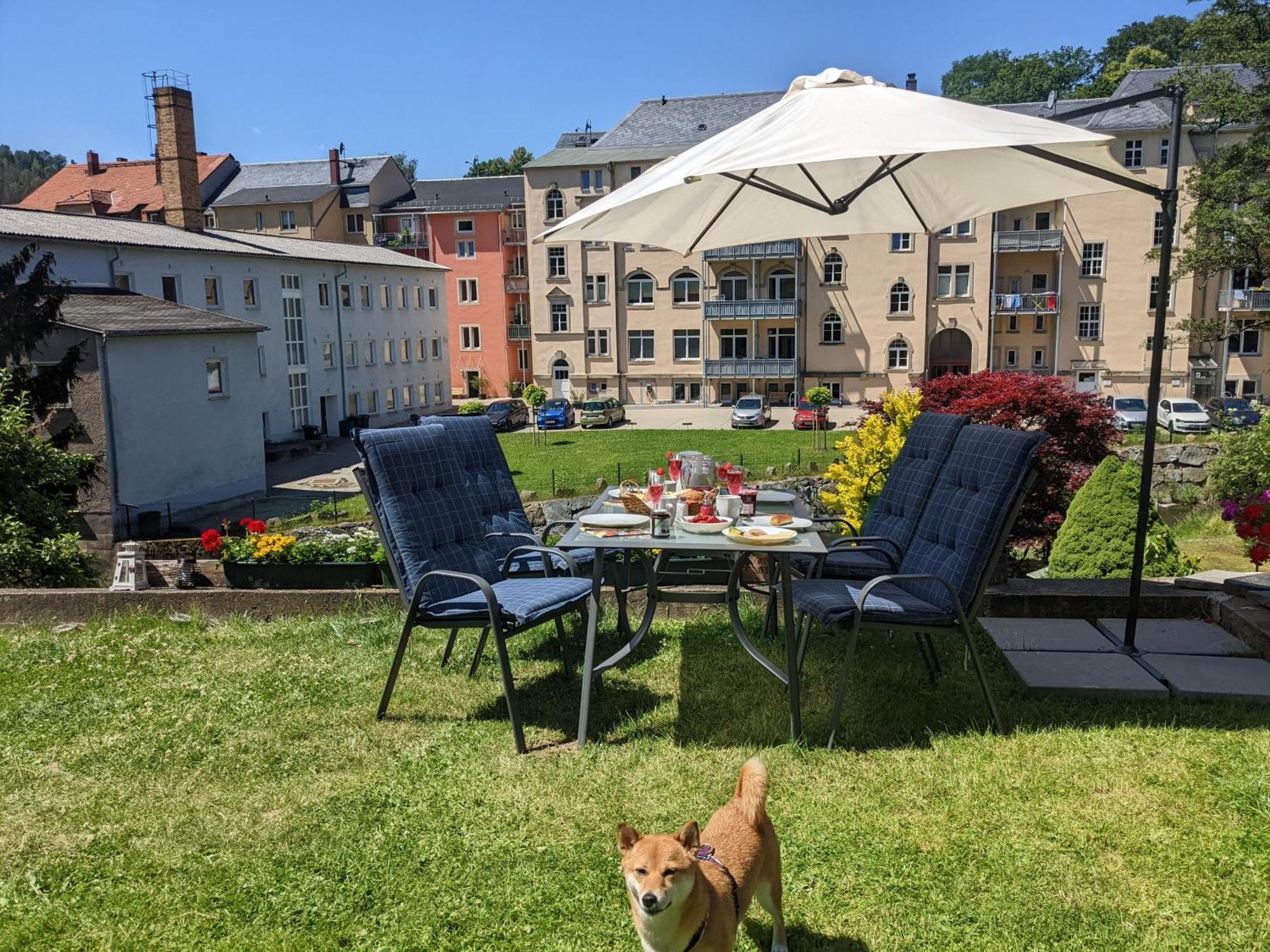Hw2B - Urlaubsmagie - Wohlfuehlwohnung Mit Balkon, Pool, Sauna & Terrasse 赛博尼茨 外观 照片