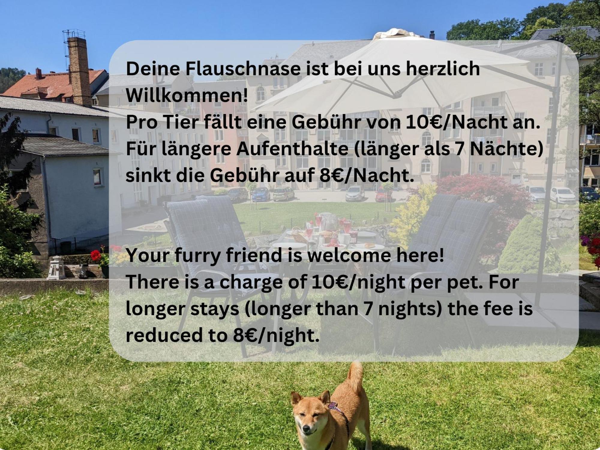 Hw2B - Urlaubsmagie - Wohlfuehlwohnung Mit Balkon, Pool, Sauna & Terrasse 赛博尼茨 外观 照片